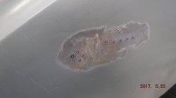 170828 68 Chevy Camaro (18).JPG